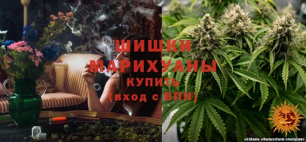 герыч Мегион