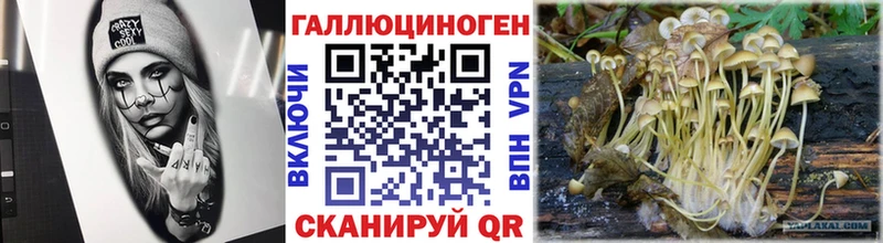 кракен рабочий сайт магазин наркотиков Екатеринбург Галлюциногенные грибы Psilocybine cubensis