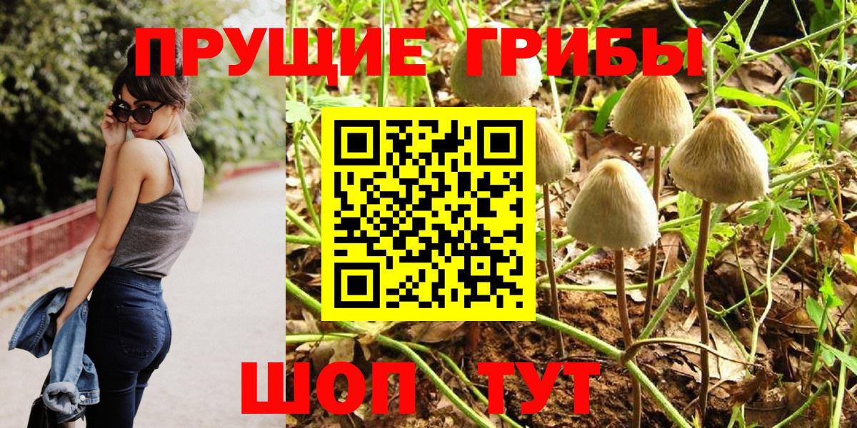 Галлюциногенные грибы Magic Shrooms Екатеринбург