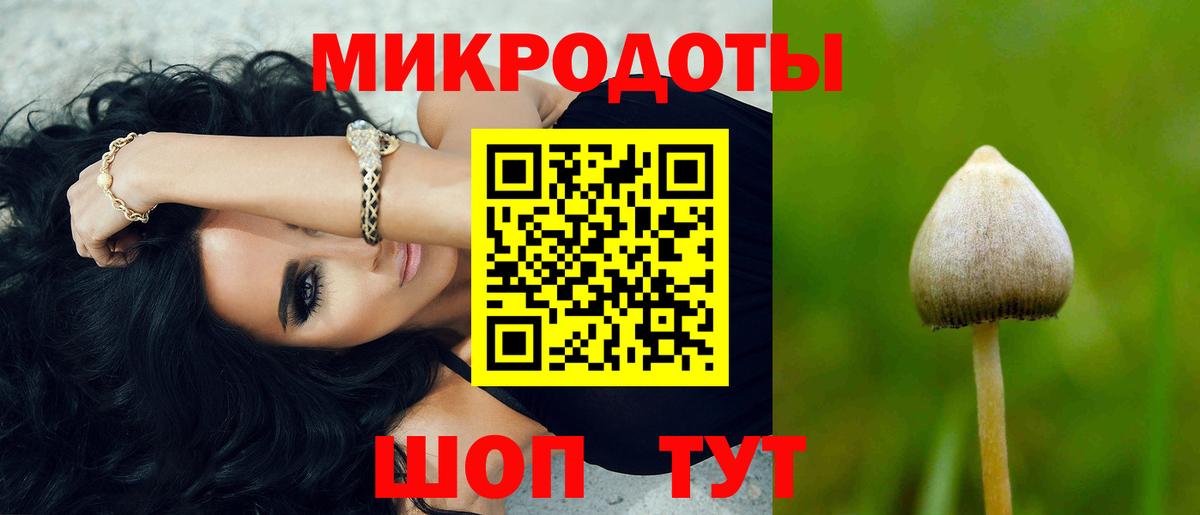 цена   Вход с VPN  Екатеринбург  Галлюциногенные грибы Psilocybine cubensis 